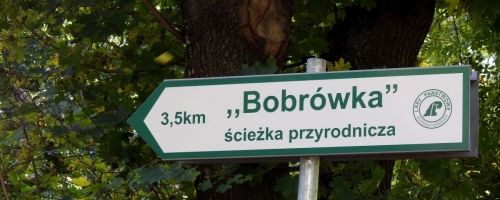 Rajd pieszy nad rozlewisko Bobrówki